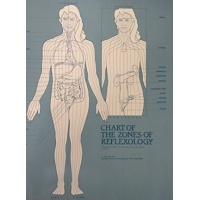 chart_of_body