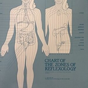 Anatomical Chart of Zones of the Body (14.5"x18")