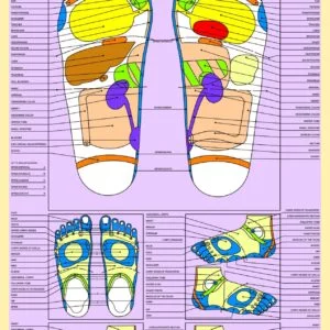 Reflexology Charts