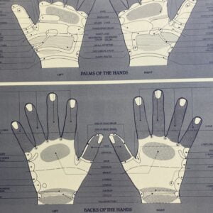 Reflexology Hand Chart