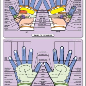 Colour Chart of Reflex Areas of the Hands (13.5"x18")